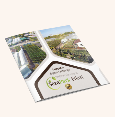 A4 Brochure Mockup
